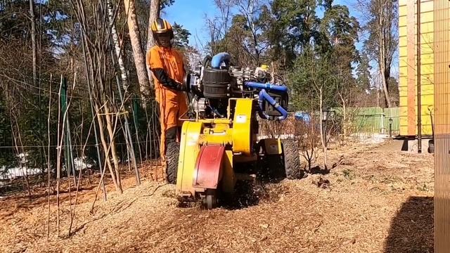 Бережное удаление пней без корчевки: дробление пней