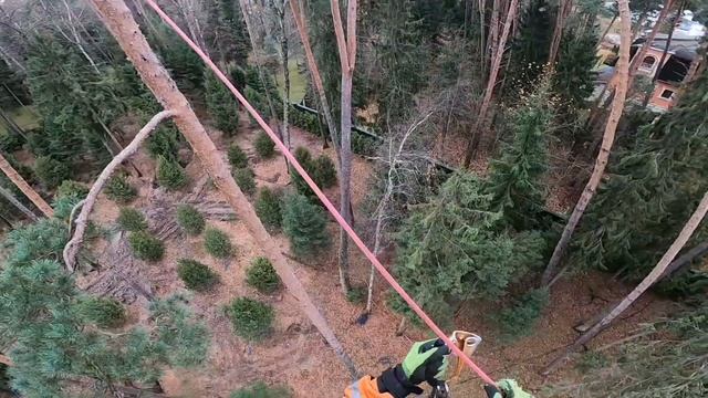 Каблинг - укрепление деревьев