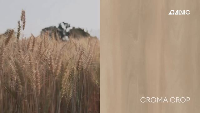 Новые Декоры Alvic - Тренд Осени 2022 смотреть онлайн