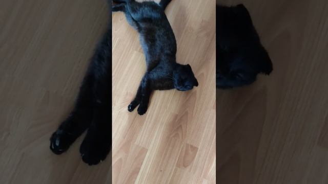 Живой? @oksanaNEWLIFE смотреть онлайн