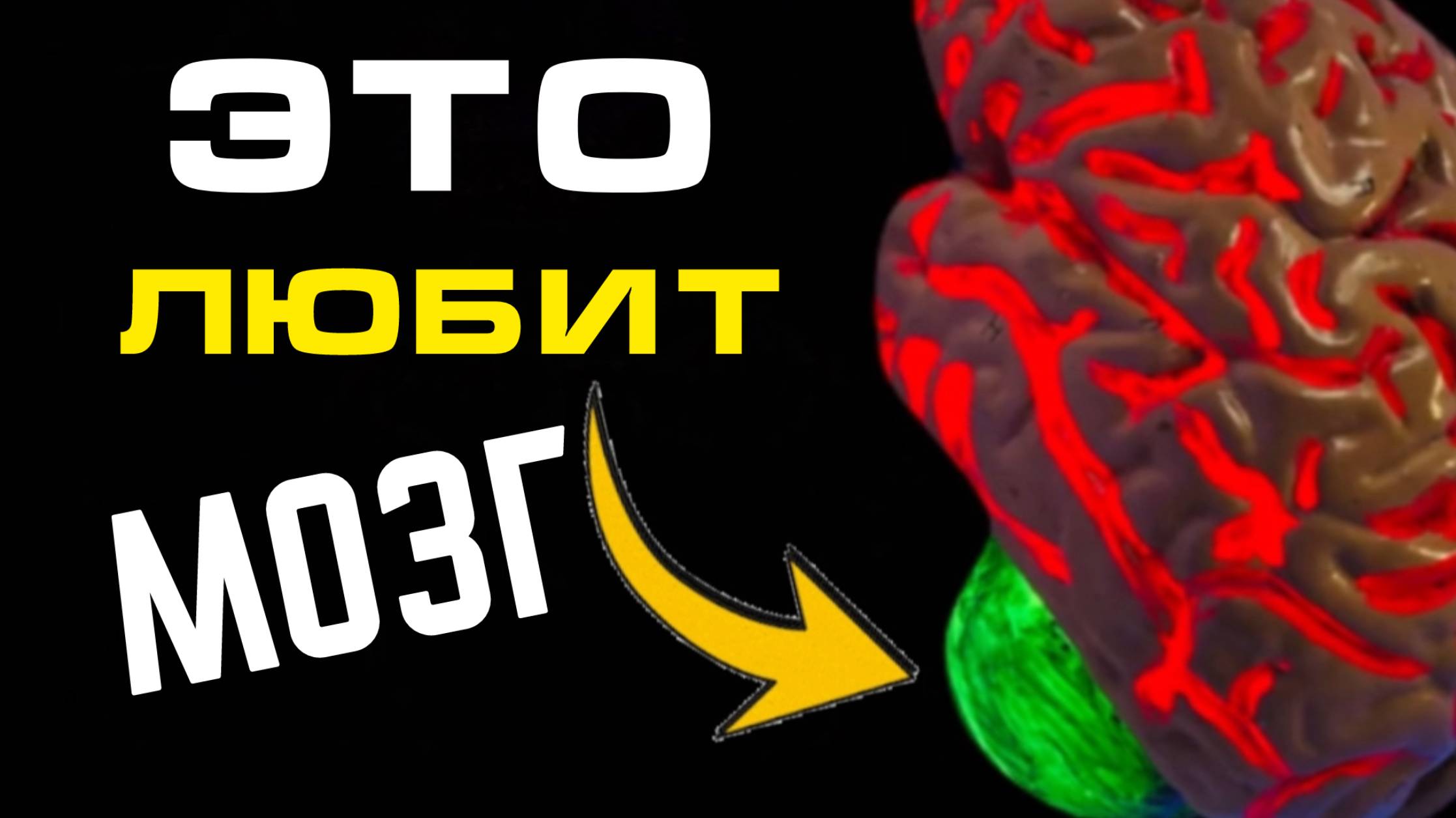 10 ПРОДУКТОВ, в которые влюблён мозг ПОЖИЛОГО человека смотреть онлайн