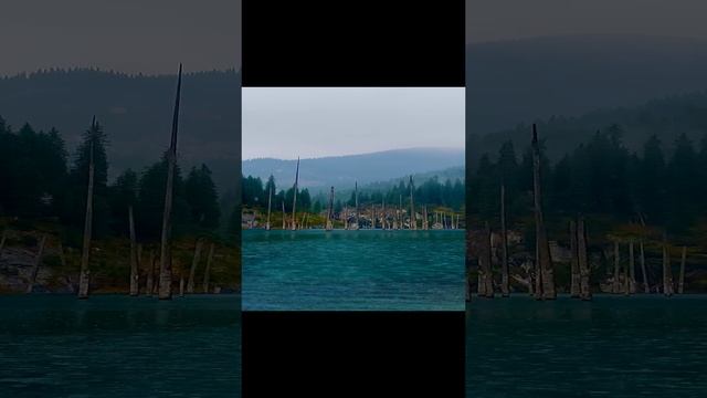 На крыльях 