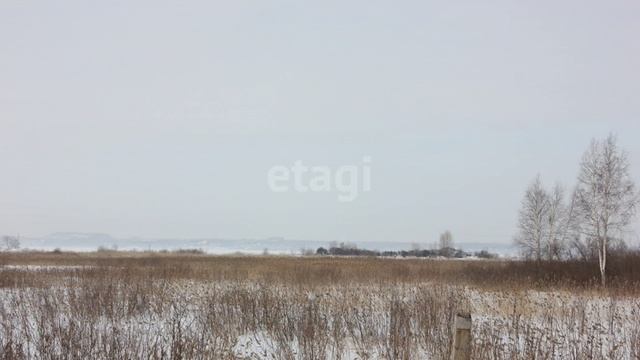 видео 29 смотреть онлайн