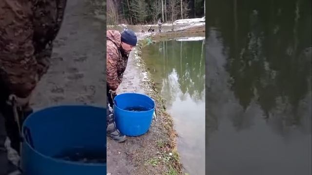 запуск смотреть онлайн