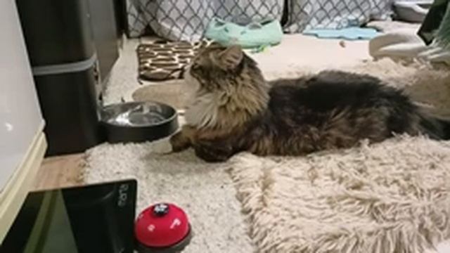 Посиделки с Алексом