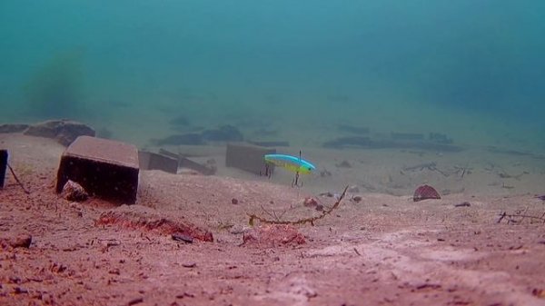 ECOPRO NEMO SLIM. Универсальный виб (ратлин) для зимней рыбалки