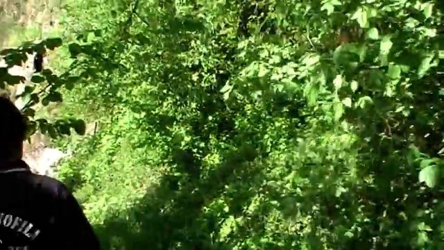 Search and Rescue Tana dei Lupi Scuola Addestramento Cani смотреть онлайн