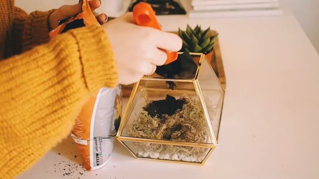 DIY ФЛОРАРИУМ Home decor Flk Miracle смотреть онлайн
