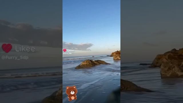 1000006578.mp4 смотреть онлайн
