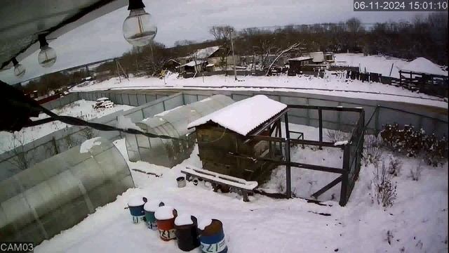 20241106_1 смотреть онлайн