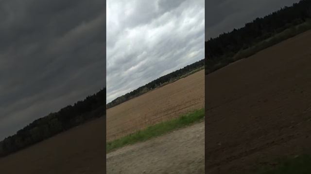 Дорога. Засеянные поля. Москва-река в далеке. Скорость. Ветер. смотреть онлайн