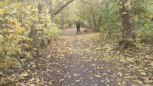 Осень в Ростове смотреть онлайн