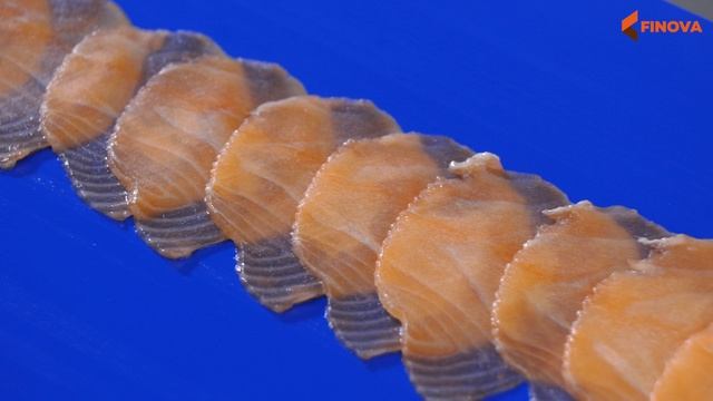 Угловая ломтерезка SliceFil-360 - SliceFil-360 Angle Slicer | FINOVA