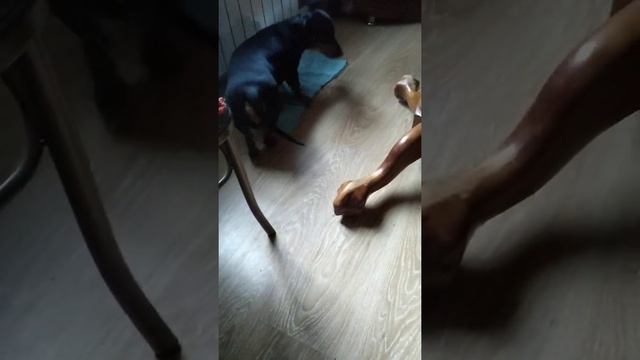 Цок, цок, цокает .... малыш смотреть онлайн