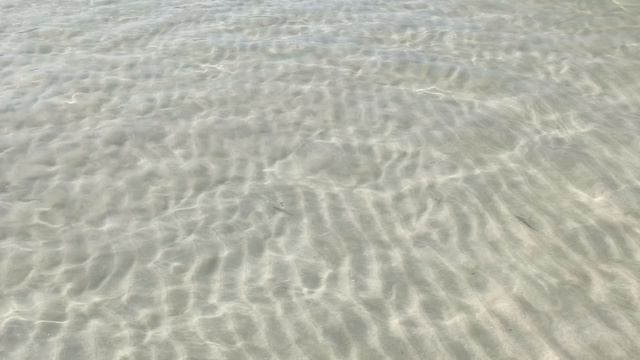 Начался прилив. Небольшие волны. Мальки. Пляж отеля Fairmont Adjman... смотреть онлайн