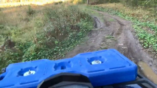 Отвлекись от серых будней! смотреть онлайн