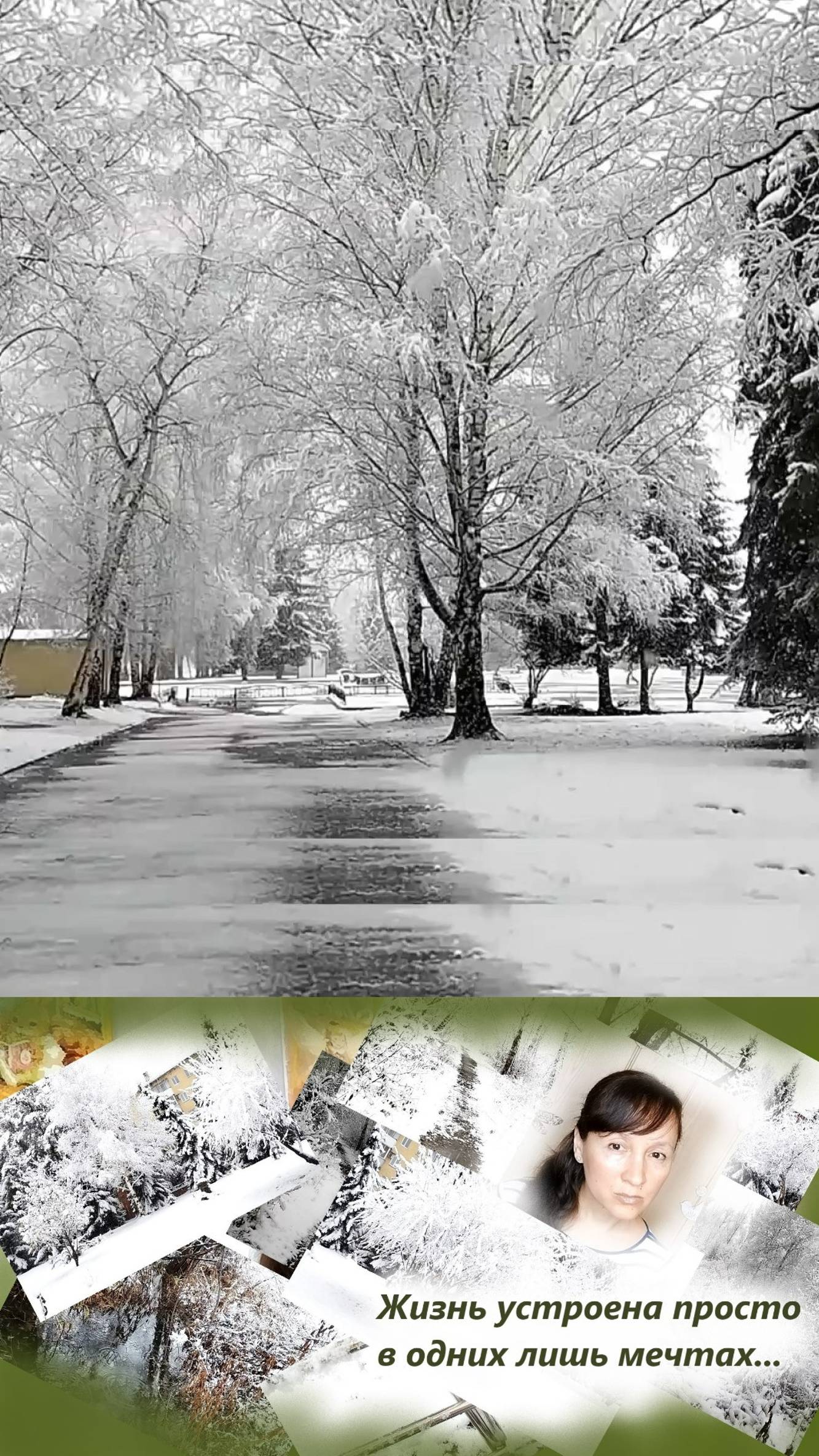 Когда в свободе жизнь твоя... #shorts смотреть онлайн