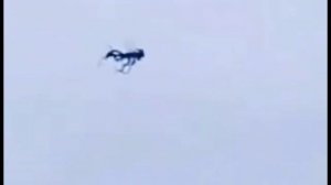 2021 год, Нью Мексико