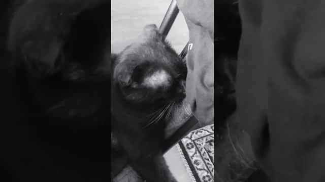 Умаялся @oksanaNEWLIFE смотреть онлайн