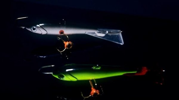 Балансир ECOPRO «Судачий», приносит рыбакам удачу.