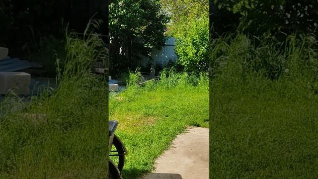 И снова здравствуйте @oksanaNEWLIFE смотреть онлайн