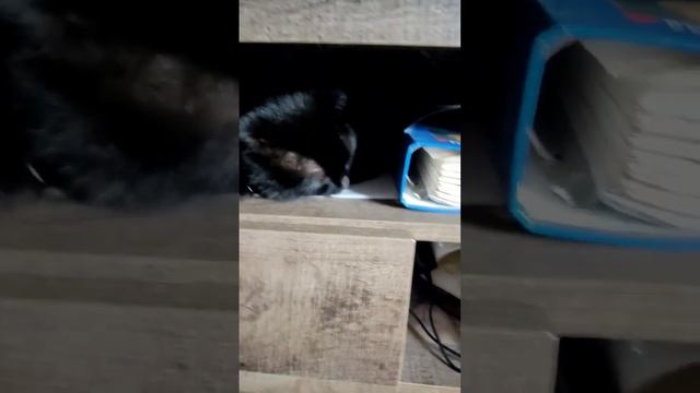 Книжка спит @oksanaNEWLIFE смотреть онлайн