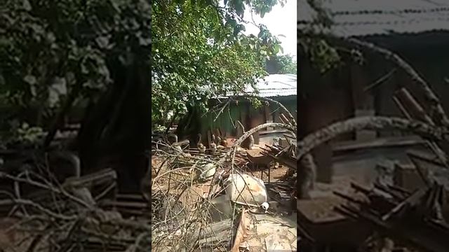 Один серый другой белый ... 8 гусей смотреть онлайн