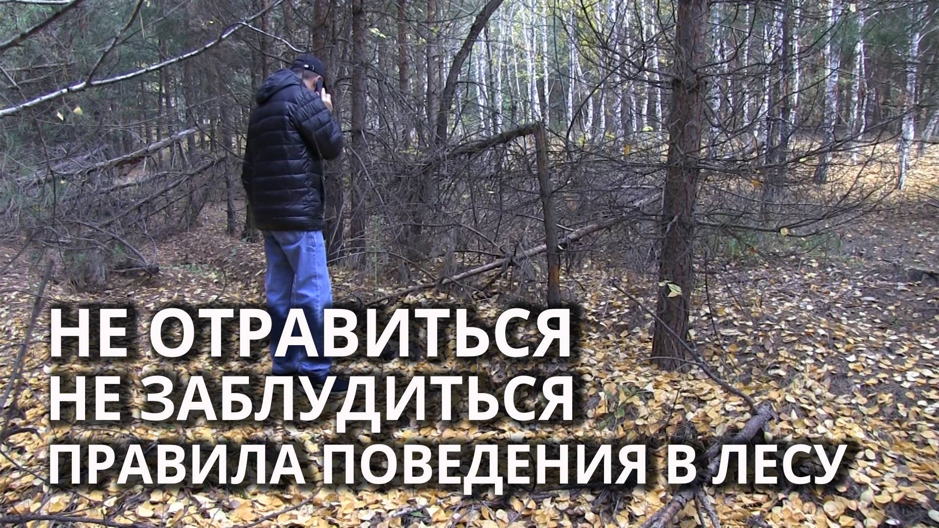 Яркая одежда, навигатор и правильные грибы. Правила поведения в лесу смотреть онлайн