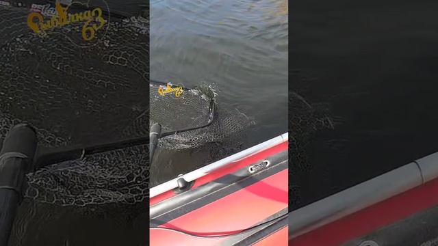 Щука на тейл-спиннер смотреть онлайн