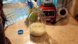 Чесночный квас по Болотову. Галкин сад