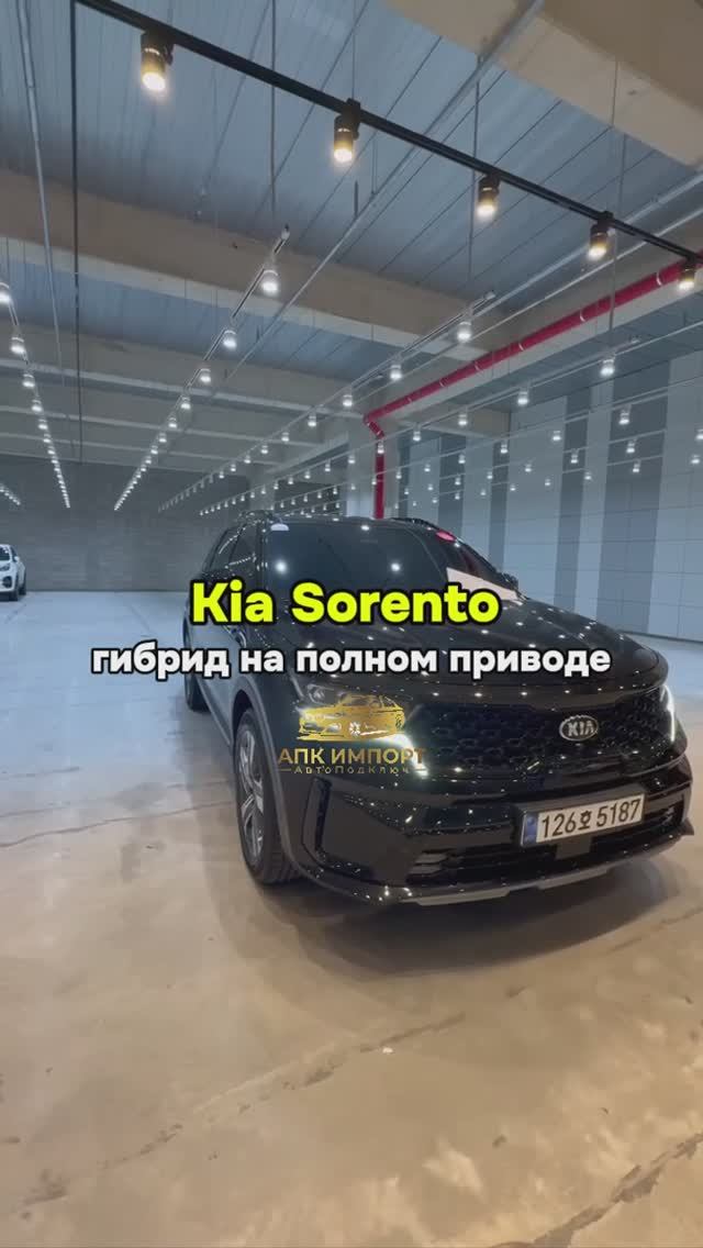 Kia Sorento 1.6 Hybrid. Полный привод. Пробег: 41.443. Цена под ключ до Москвы — 3 500 000 рублей смотреть онлайн