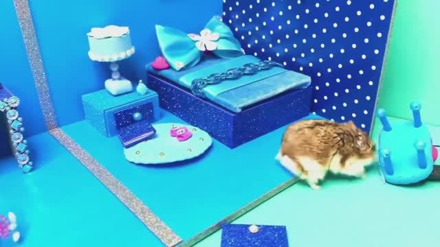 DIY Miniature Cardboard House Frozen VS McDonald’s ❤️ From Cardboard