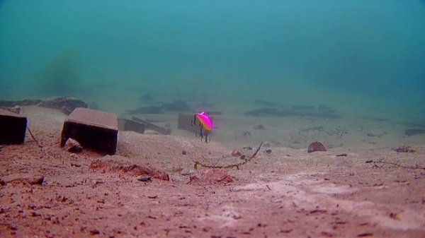 Как играет KUDA. Самый популярный виб на судака от ECOPRO