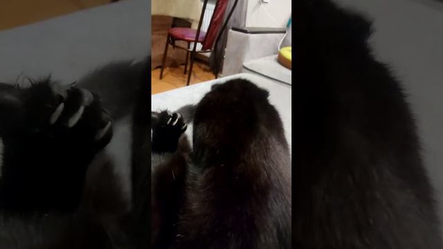 Замри... @oksanaNEWLIFE смотреть онлайн