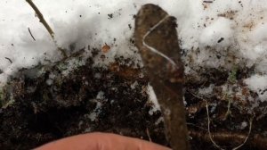 КОП ПО ВОЙНЕ! ПОЗИЦИИ ВЕРМАХТА! ЛОЖКОВИЛОЧНЫЙ ВЫХОД)