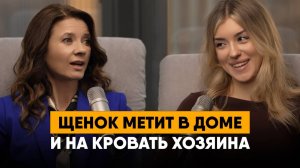 Собака гадит дома. Сколько весит взрослый мальтипу. Вакцинация и ревакцинация собаки.