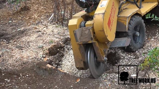 Дробление пней без повреждения газона   удаление пней без корчевки в Истринской Ривьере Tree-Work.Ru