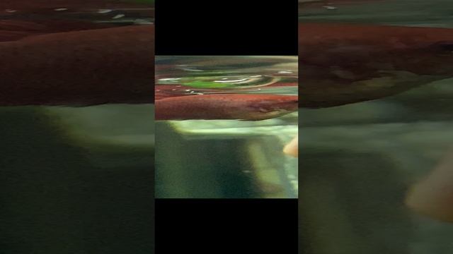 Ну это просто шедевр... Дружба!!!