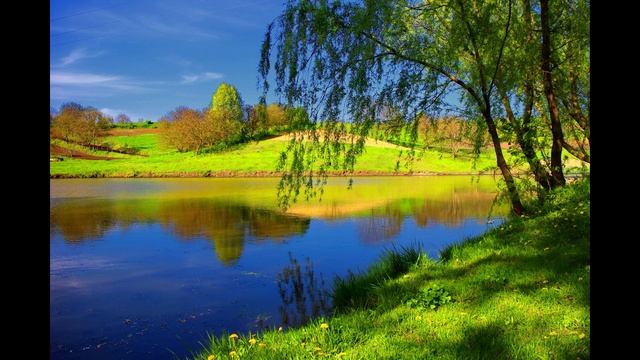 Konnichiwa смотреть онлайн