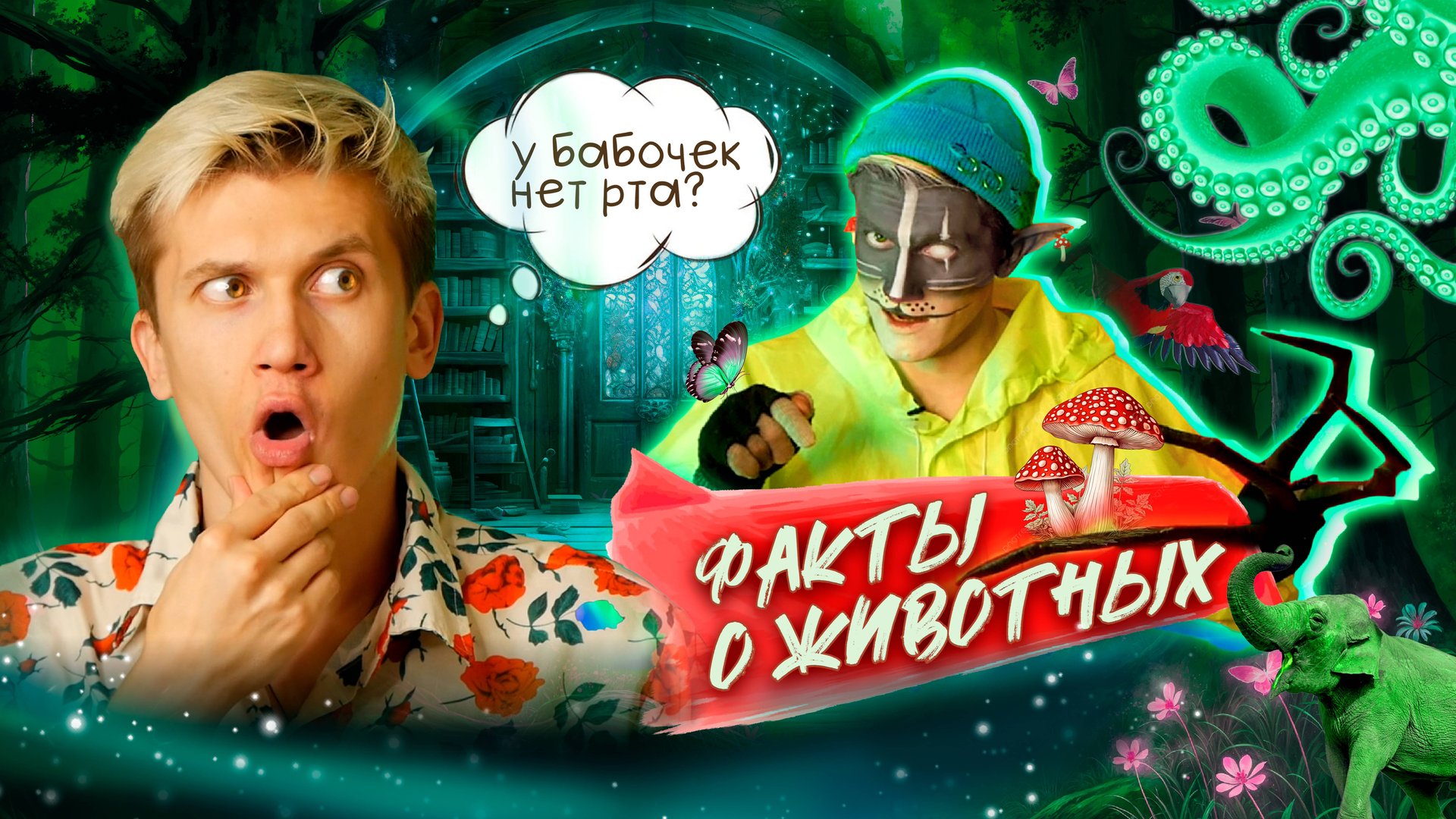 Кот Учёный "Факты о животных" смотреть онлайн