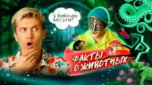 Кот Учёный «Факты о животных»