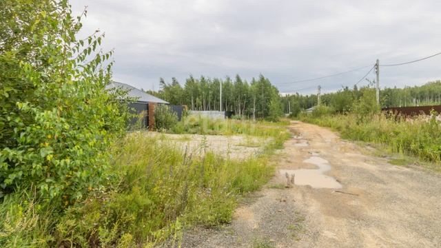 видео 13 смотреть онлайн