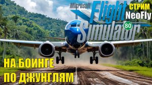 Microsoft Flight Simulator 2020 (NeoFly) - На Боинге по джунглям