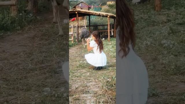 Vitaliy infiniti смотреть онлайн