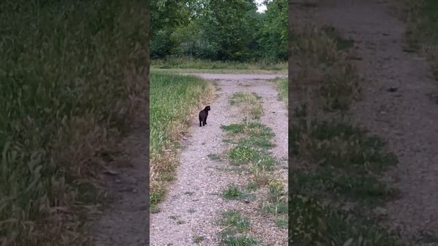 Вечереет, закат @oksanaNEWLIFE смотреть онлайн