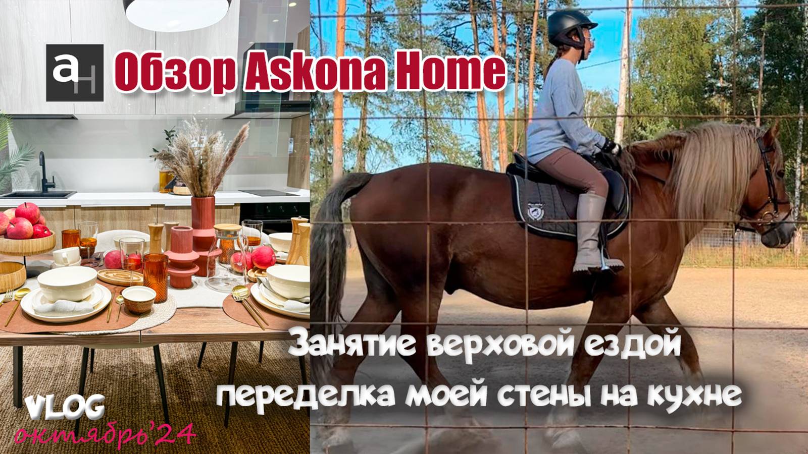 Обзор новинок в Askona home! Успехи и неудачи в конном спорте| Перекрашиваю стену на кухне) смотреть онлайн