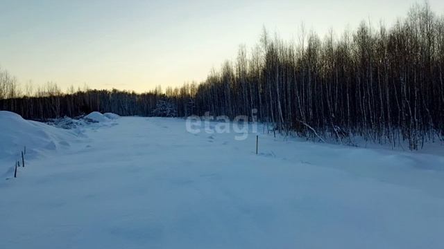 видео 11 смотреть онлайн