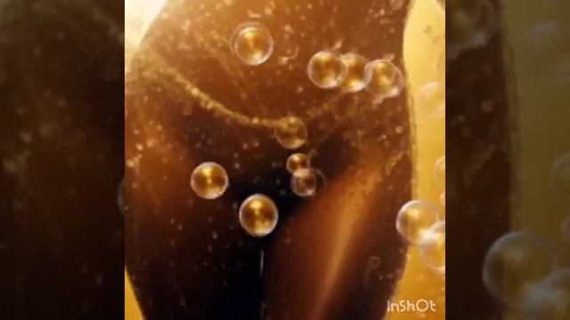 Вселенной плен