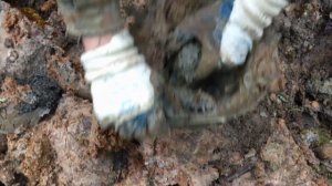 Канал Военной Археологии! КАМРАД 47 РЕГИОН!