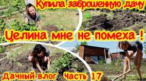 ПРИВОЖУ В ПОРЯДОК ЗАБРОШЕННЫЙ УЧАСТОК/КАК РАЗРАБОТАТЬ ЦЕЛИНУ/ЗОНА ОТДЫХА С НУЛЯ СВОИМИ РУКАМИ